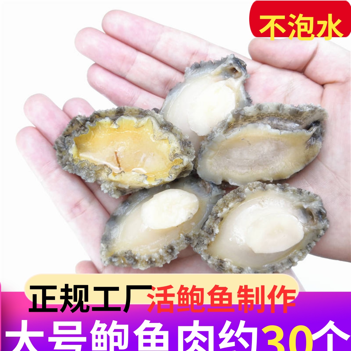新鲜鲍鱼肉30-200个任选