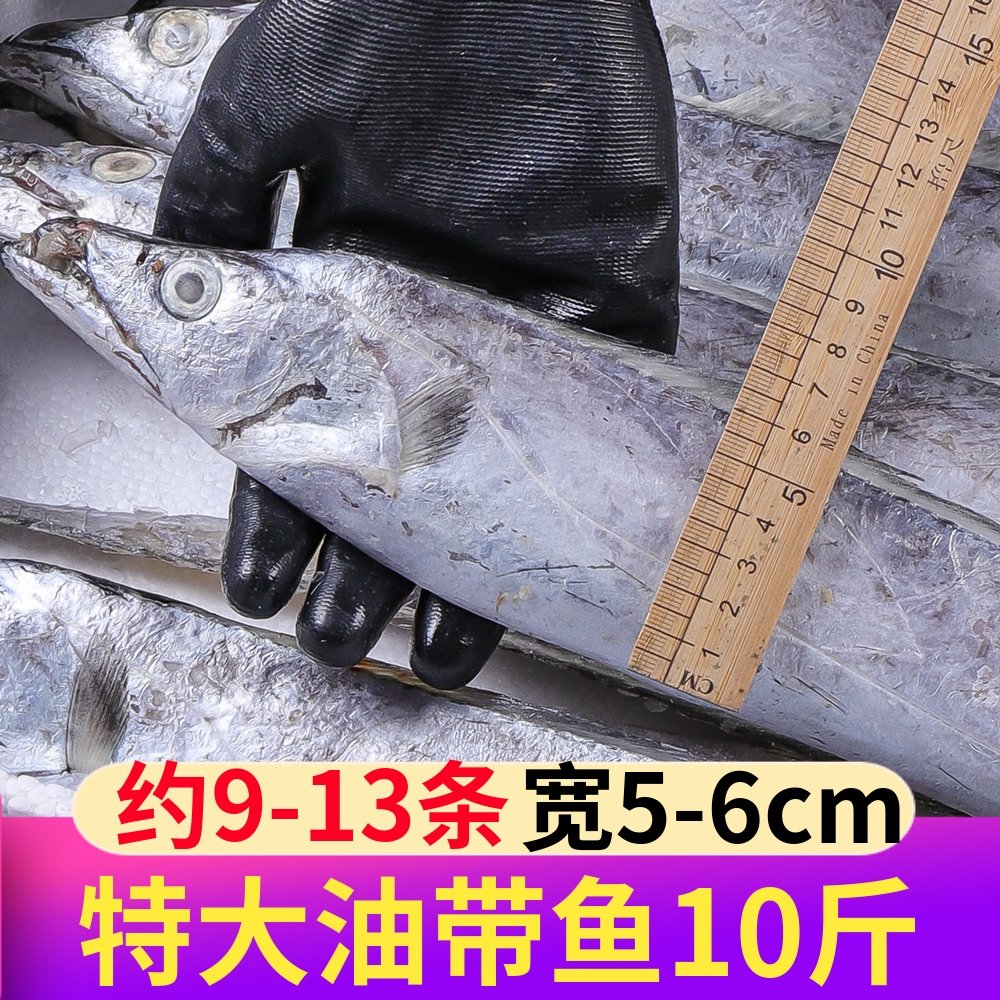 东海带鱼新鲜冷冻大条整条整箱10斤小眼油带鱼海鲜舟山酒店批发图片