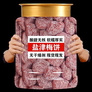 无核盐津梅饼500g话梅果脯蜜饯酸梅李梅果干梅肉孕妇休闲开胃零食
