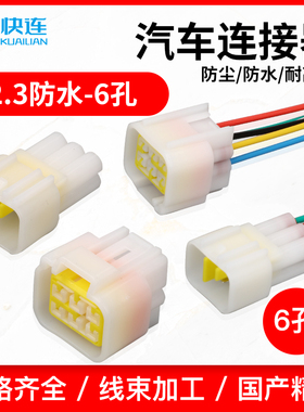 DJ7061Y-2.3-11/21汽车防水连接器 FW-C-6F/M-B接插件6P插头