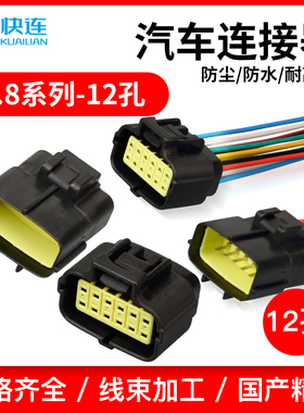 DJ71216Y-1.8-11/21汽车防水连接器174663-2 174661-2接插件插头