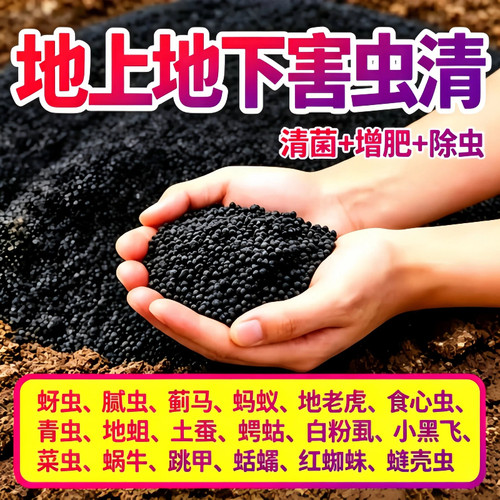 土壤除虫菜地植物杀虫增肥治病菌