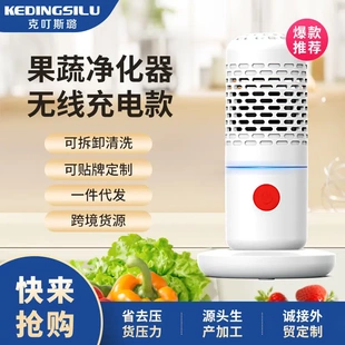 克叮斯璐果蔬清洗机水果蔬洗菜机家用肉类食材净化器果蔬洗菜
