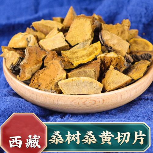 西藏自治区正品桑树桑黄