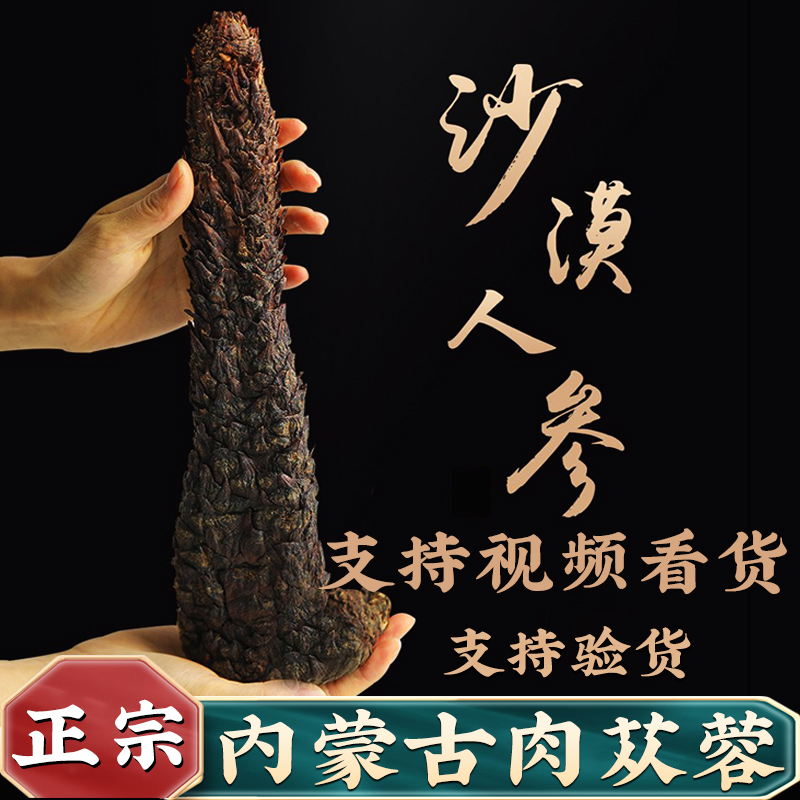 正品荒漠油性肉蓯蓉500g內蒙古阿拉善鎖陽正品旗艦店