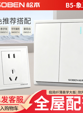 松本B5系列白色一开双控五孔16a家用暗装86型多孔带开关插座面板