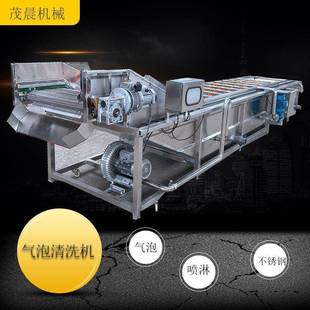 茂晨供应毛豆清洗设备地耳菜气泡清洗机喷淋清洗机厂家制作