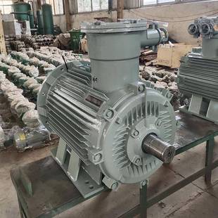 三相交流异步电动机YB3 422W380VB3FIP55ExdIICT4 180L