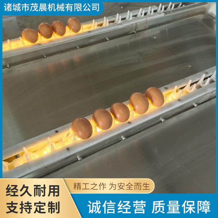 咸鸭蛋清洗设备洗鸭蛋成套机器每小时5000枚鸡蛋清洗机,厨房电器,其他商用厨电,淘宝优惠券,粉丝福利购,淘宝优惠卷