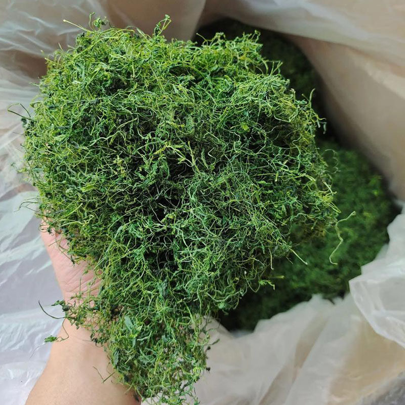 神农架苦水绞股蓝500g优质中草药店绞股蓝泡水龙须头