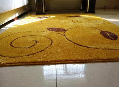 定制金黄色风水地垫进门门厅换鞋脚垫定做卧室门垫客厅茶几大地毯 - 封面