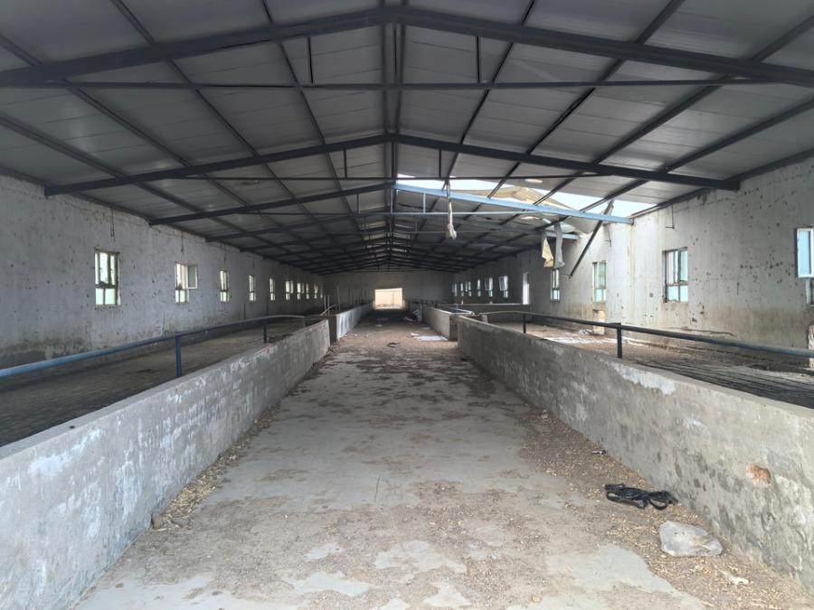 2月8日巴音郭楞专业合作社养殖场土地及地上附着物网络拍卖公告