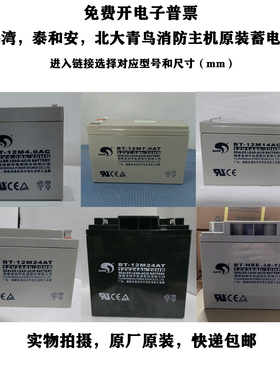 正品海湾泰和安消防主机蓄电池青鸟气体灭火灾报警控制器备用电池