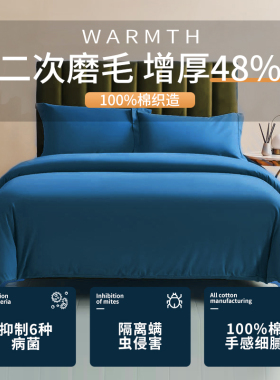 200支A类磨毛抗菌全棉四件套加厚保暖纯棉床上用纯色床单被套床笠