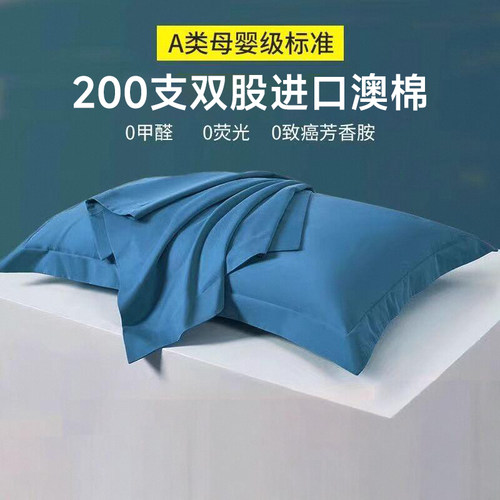 200支双股磨毛长绒棉双人枕芯套