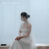 单层意大利网头纱凝望 WHITE FANGLE 复古优雅百搭进口网超透头纱