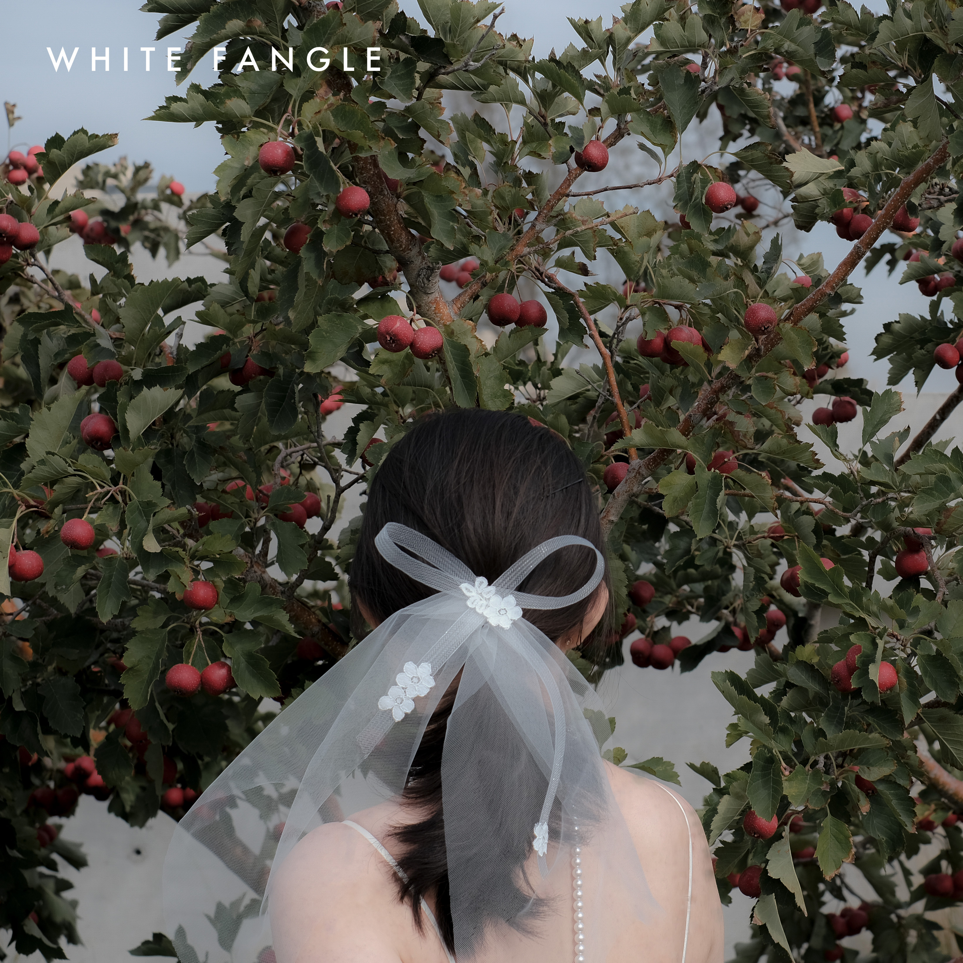 WHITE FANGLE 青柠 小轻薄飘带蕾丝头纱 旅拍领证头纱超仙森系