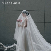 冰岛红茶 WHITE FANGLE 长头纱拖尾柔软婚礼新娘清透气质礼物简约