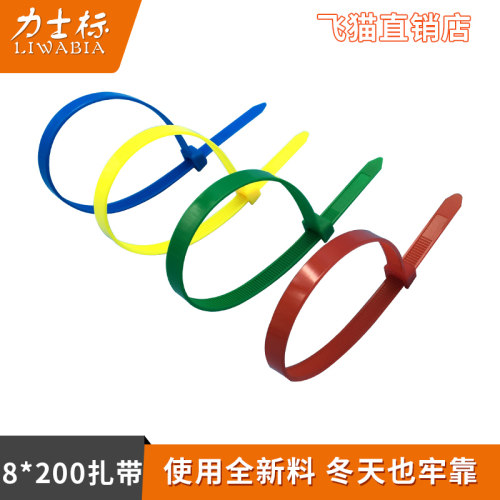 全新尼龙料冬天也牢靠自锁式扎带