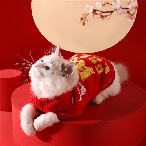 猫咪拜年服冬季保暖宠物衣服小猫新年装过年春节红色喜庆布偶猫