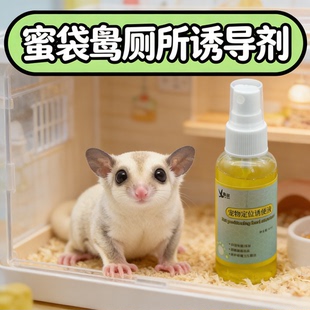 蜜袋鼯厕所诱导剂定点排尿拉便训练定点排便制防止防水生活用品