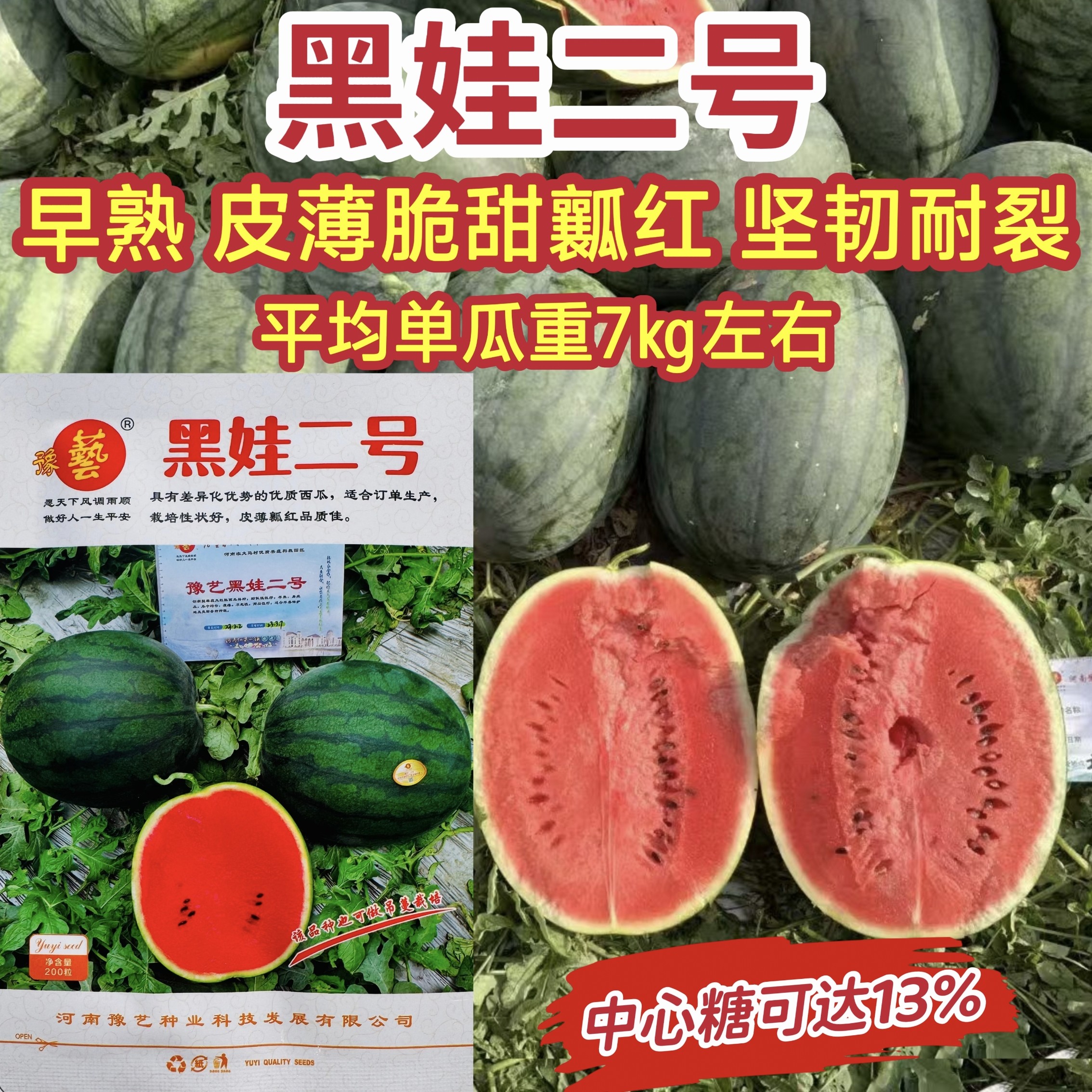 豫艺黑娃二号西瓜种子 早熟黑皮西瓜种子 大红瓤黑皮圆西瓜种籽孑