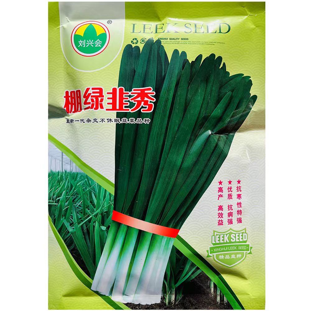 棚绿韭秀韭菜种子抗病高产叶色鲜绿冬季不休眠耐寒优质韭菜种籽孑