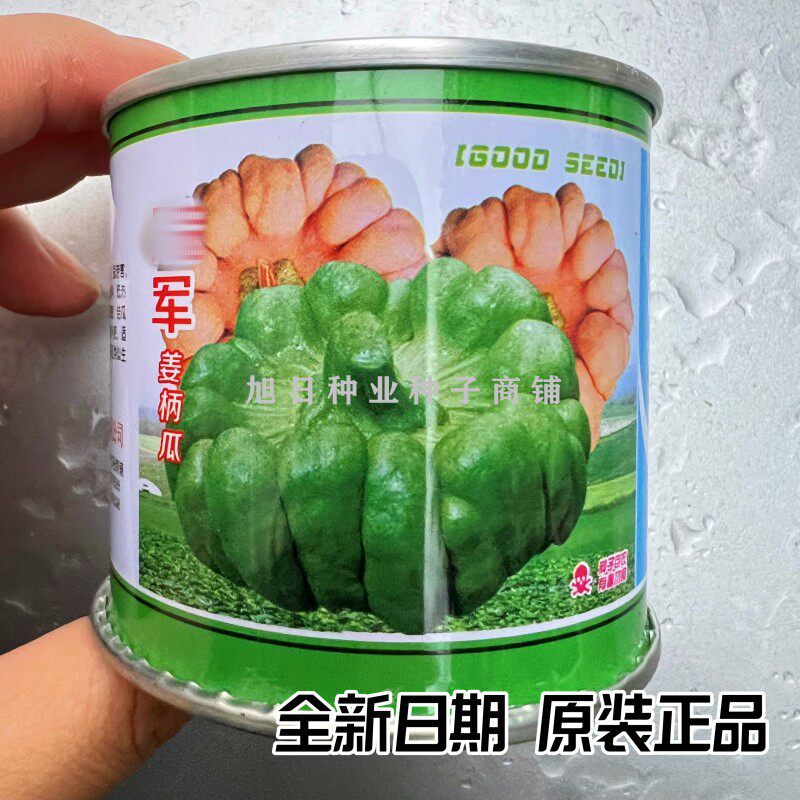 冠军姜柄瓜蔓生南瓜云南特色蔬菜