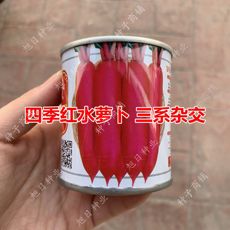 农家种子杂交水萝卜