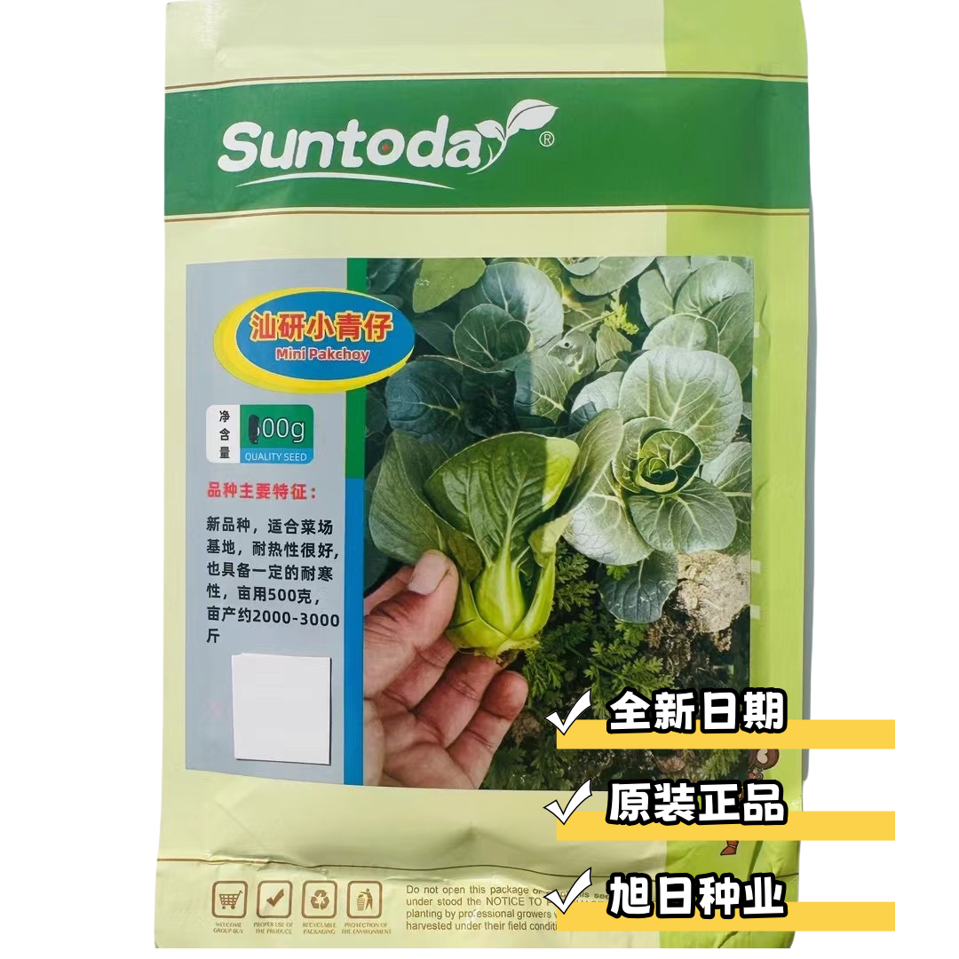 汕研小青仔小颗青菜苏州青种子
