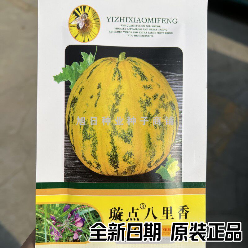 璇点八里香花皮薄皮甜瓜种子
