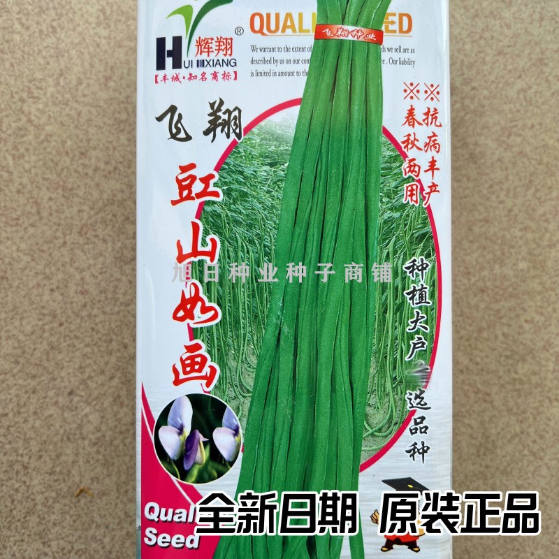 江西飞翔长豆角种籽夏季耐热豇豆