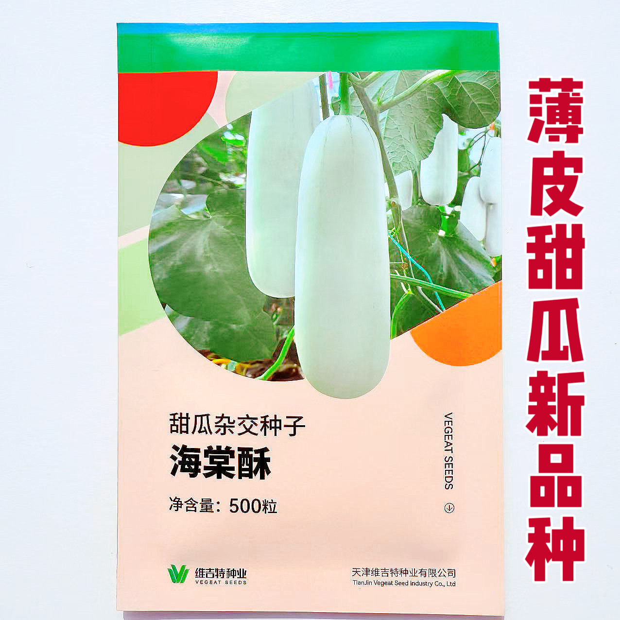 海棠酥甜瓜种子薄皮香瓜种子羊角蜜瓜把粗果皮灰白绿肉桔瓤春秋播