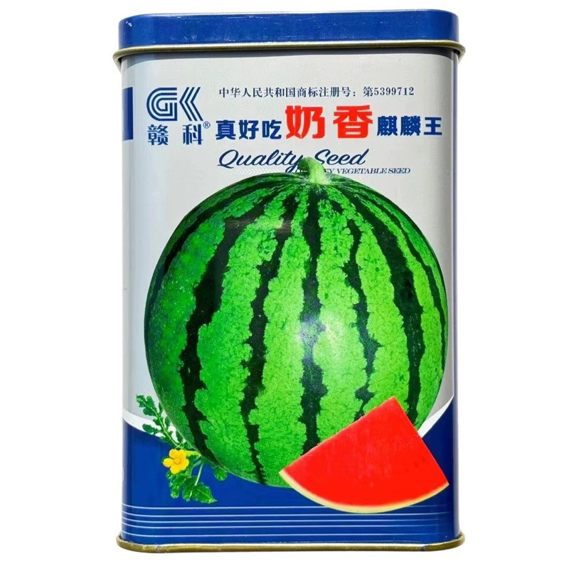 赣科真好吃奶香麒麟王西瓜种子早熟圆形薄皮红瓤多汁脆甜西瓜种籽