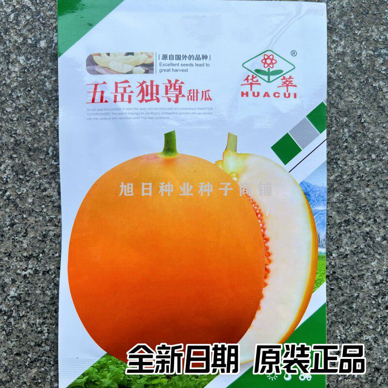 华萃黄皮香瓜种子高产糖度高
