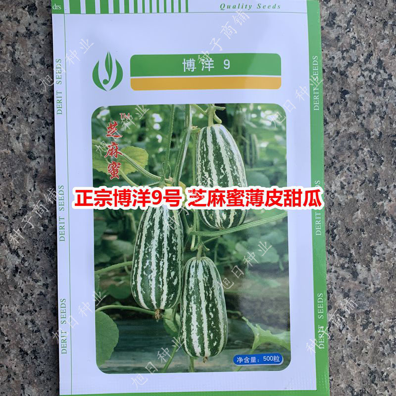 正品博洋9号薄皮甜瓜种籽