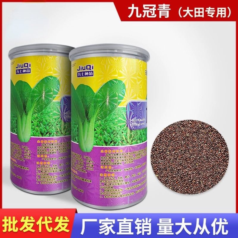 九冠青菜种子正宗上海青种籽小青菜四季油菜种子蔬菜种籽大田菜籽