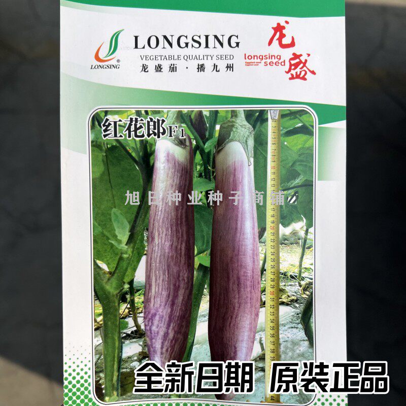 紫色长茄竹丝茄特色茄子种籽