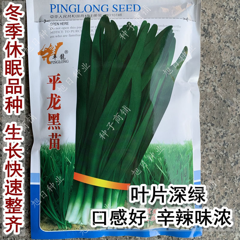 韭菜味浓高产抗病叶宽色深