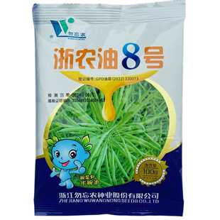 浙农油8号油菜种子高产抗倒耐寒甘蓝型半冬性双低油菜种籽种孑