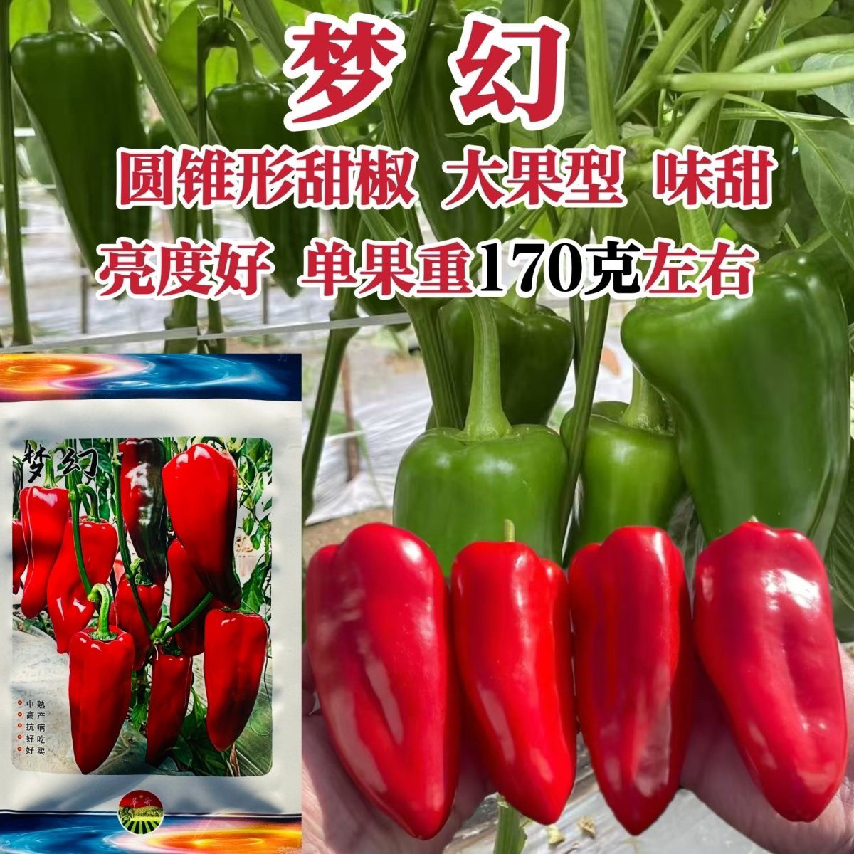 华渝梦幻红辣椒种子长圆锥形甜椒种子大果红尖椒网红直播生吃品种