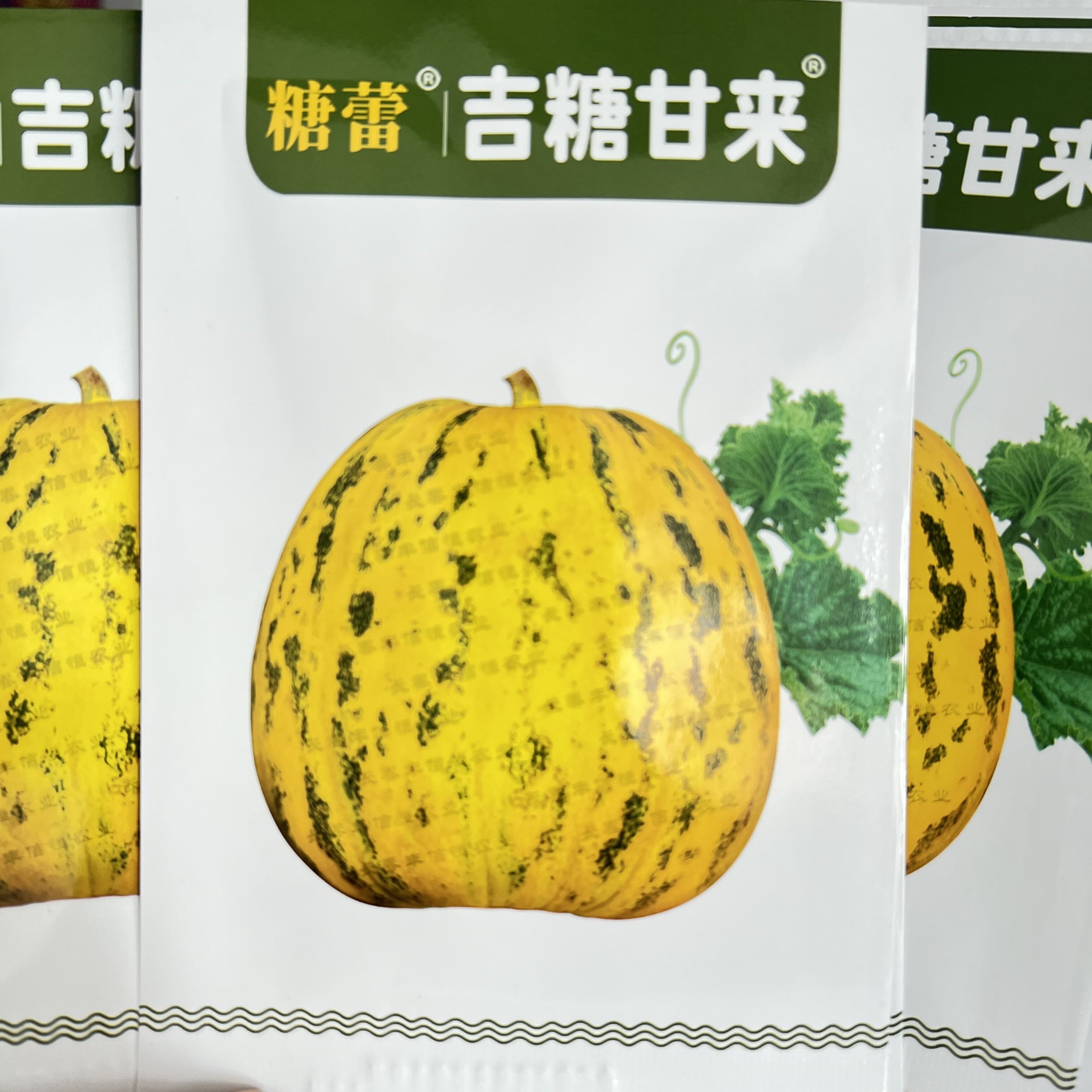 吉糖甘来甜瓜种子特甜干瓤花皮绿肉香浓八里香瓜种籽高糖大果露地