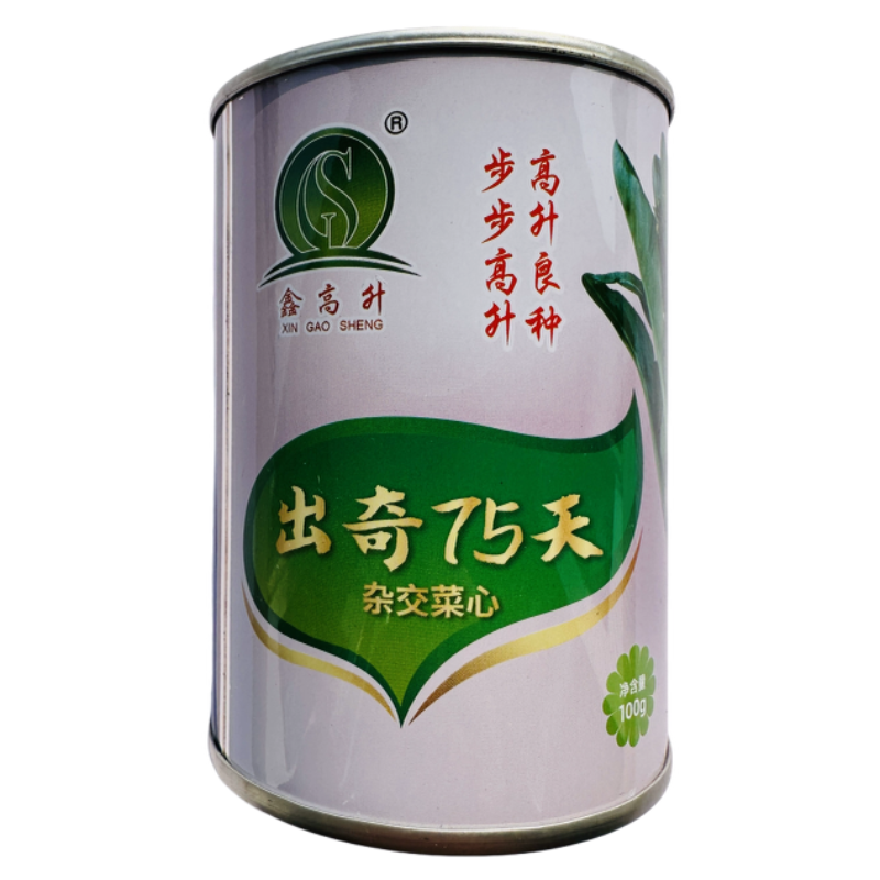 出奇75天杂交尖叶菜心种子抗性好纤维少爽脆味美秋季耐寒菜苔种籽