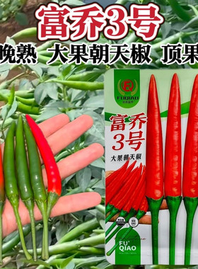 南方热销辣椒富乔3号朝天椒种子泰国大果型朝天椒种子亮红顶果大