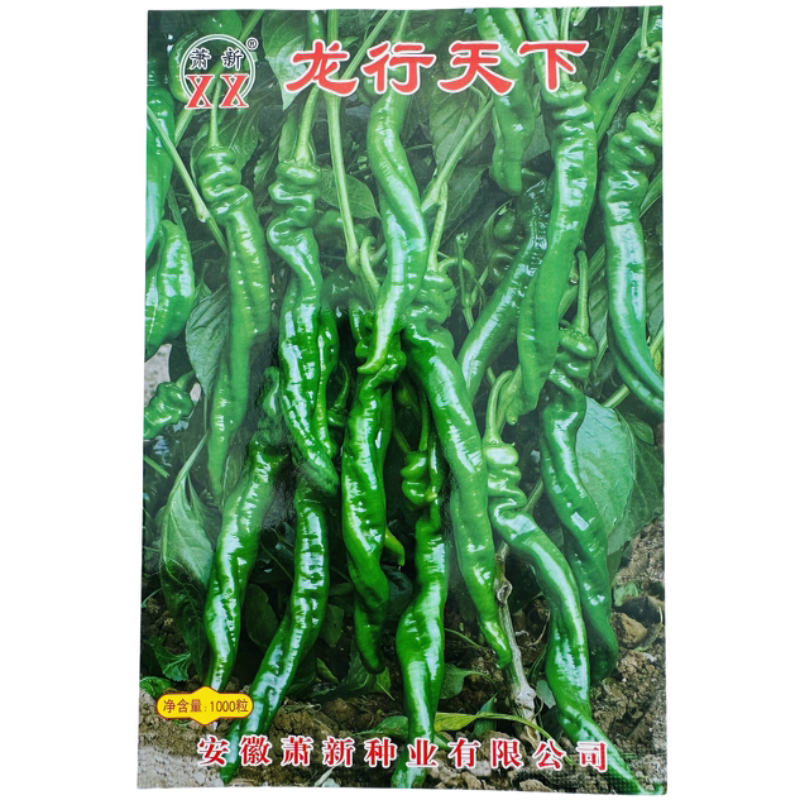 萧新辣椒种子龙行天下陇椒种籽味辣香浓薄皮早熟产量高螺丝椒种子