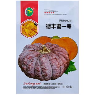 德丰蜜一号磨盘老南瓜种籽粉糯香甜老南瓜扁圆形云南特色南瓜种子