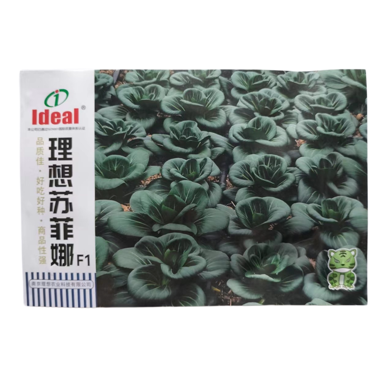 理想黑美人苏菲娜杂交苏州青种子抗病软烂香甜耐寒秋冬季蔬菜种籽