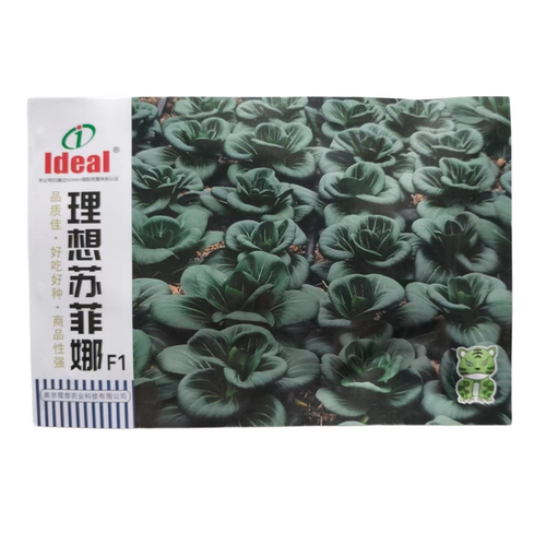 理想黑美人苏菲娜杂交苏州青种子抗病软烂香甜耐寒秋冬季蔬菜种籽