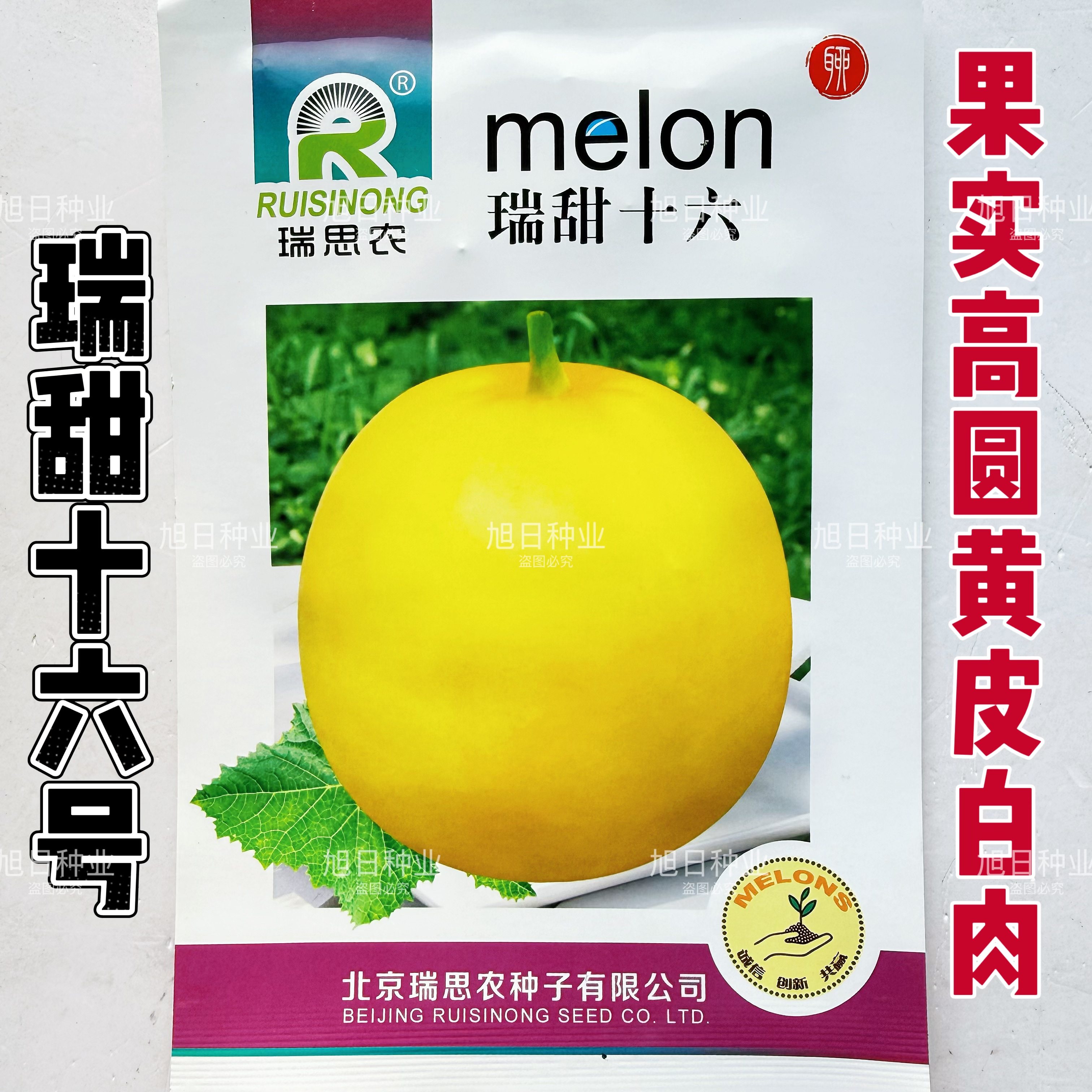 瑞甜十六号早熟薄皮甜瓜种子果圆形果面光滑肉白细腻清香酥脆爽口