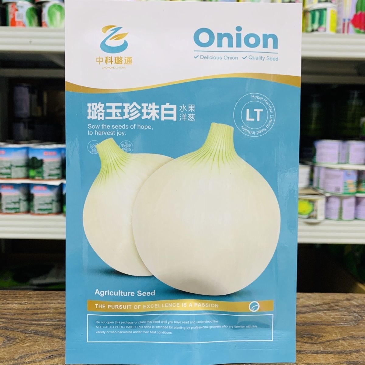 璐通璐玉珍珠白洋葱种子中熟白皮洋葱种子品质好商品性佳秋冬种植